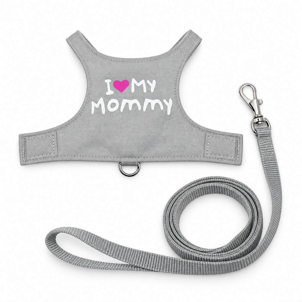 Glow-in-the-Dark Reptile Leash Harness