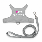 Glow-in-the-Dark Reptile Leash Harness