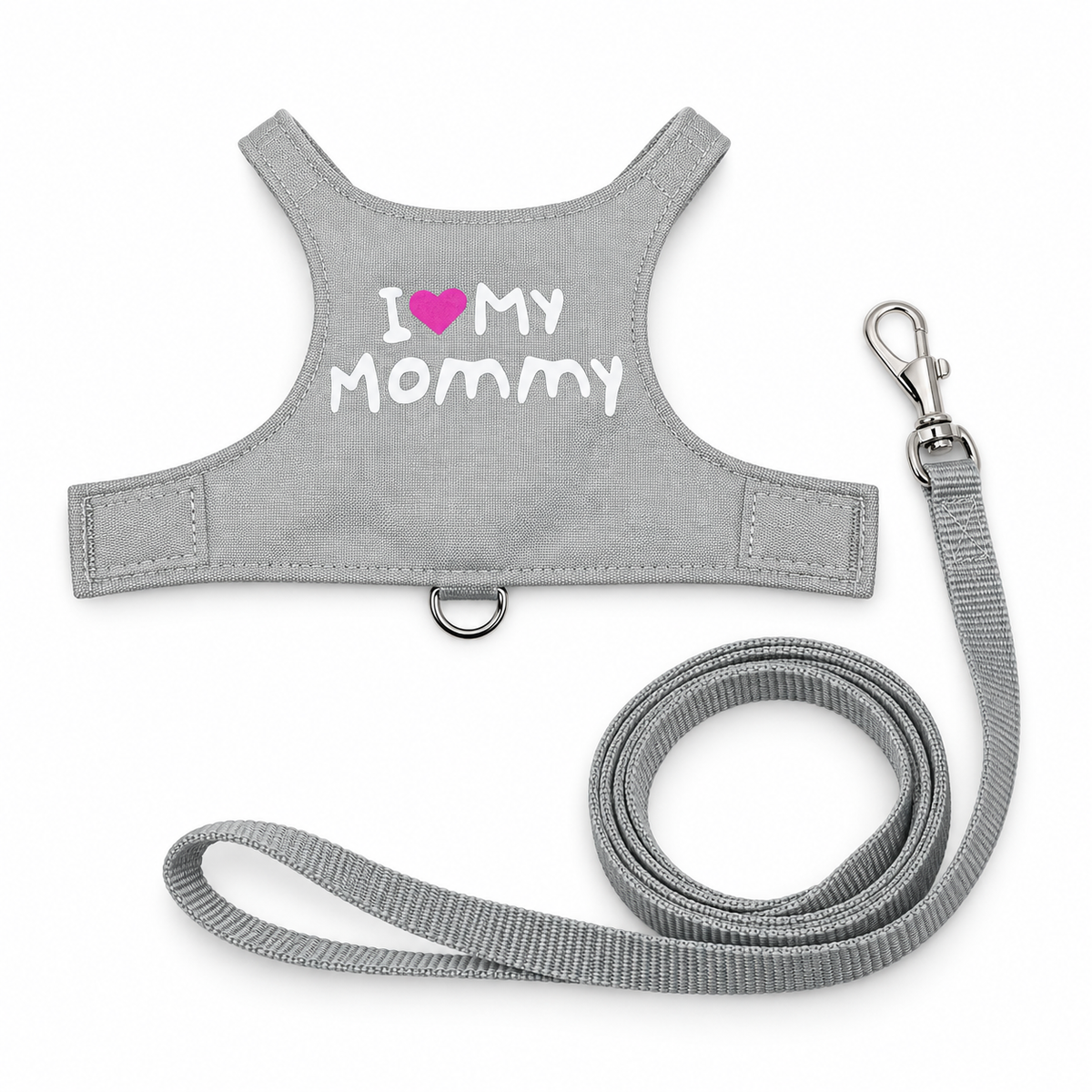 Glow-in-the-Dark Reptile Leash Harness
