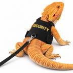 Canvas Lizard Harness Leash Set