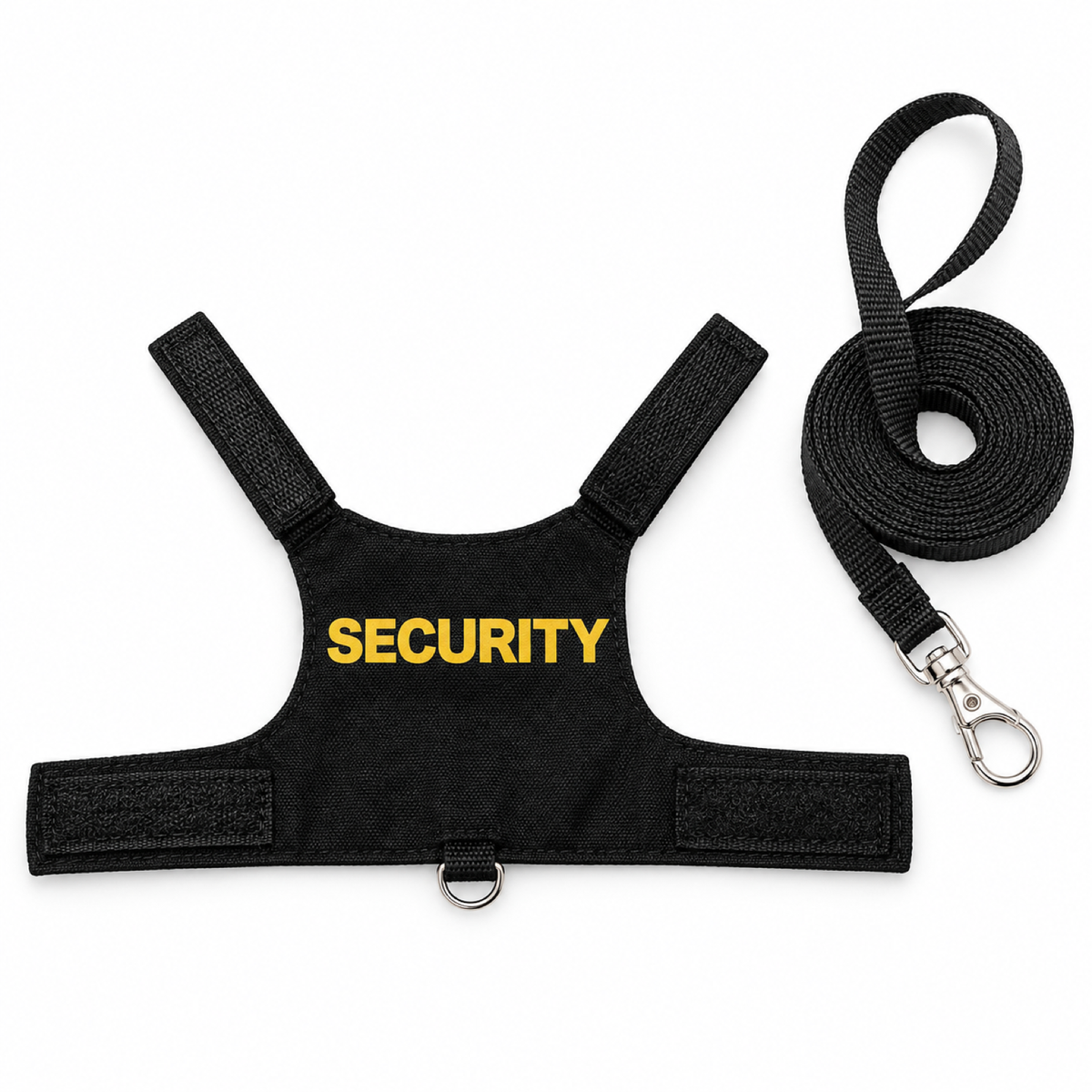 Canvas Lizard Harness Leash Set