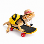 Lizard Skateboard & Backpack 3-Piece Set